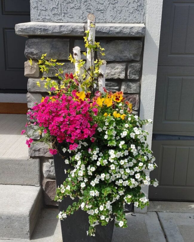 Towering Planter Bursts Verdant Charm