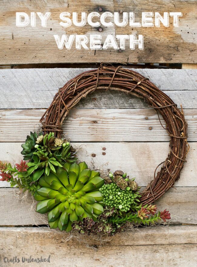 Succulent Wreath: Verdant Living Canvas