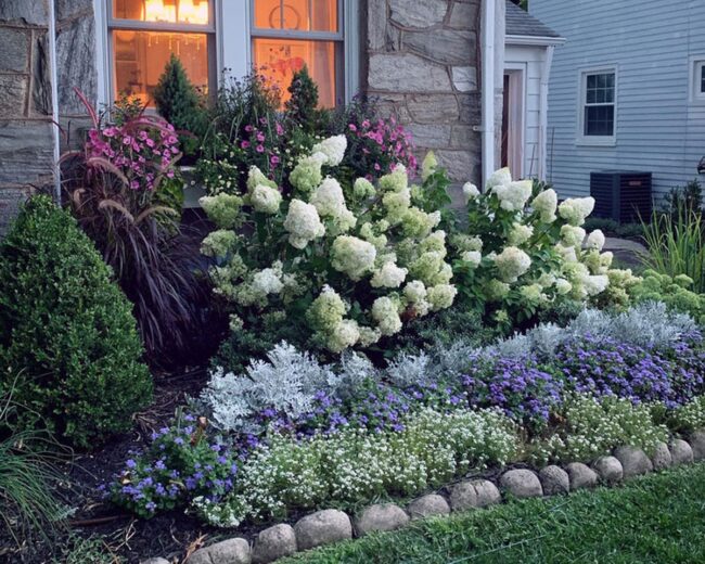 Green Symphony of Suburban Softness