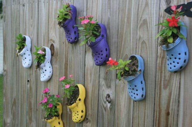 Colorful Crocs Sprouting Vivid Flowers