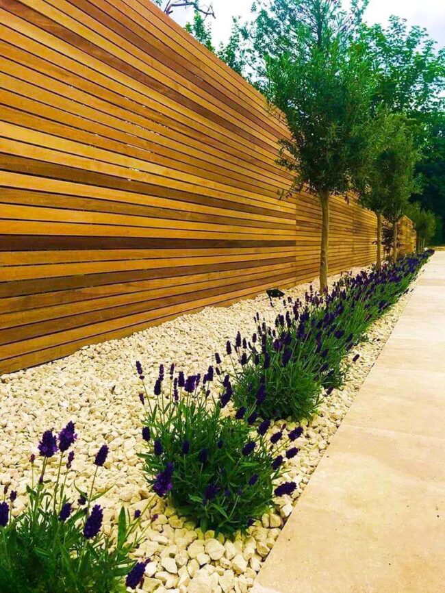 Horizontal Wood Slats Define Contemporary Landscape