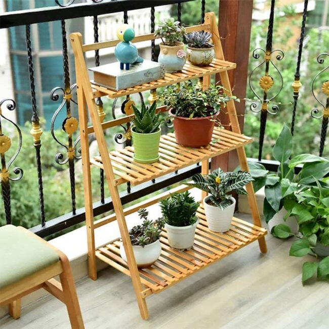 Green Ladder Garden Sanctuary Indoors