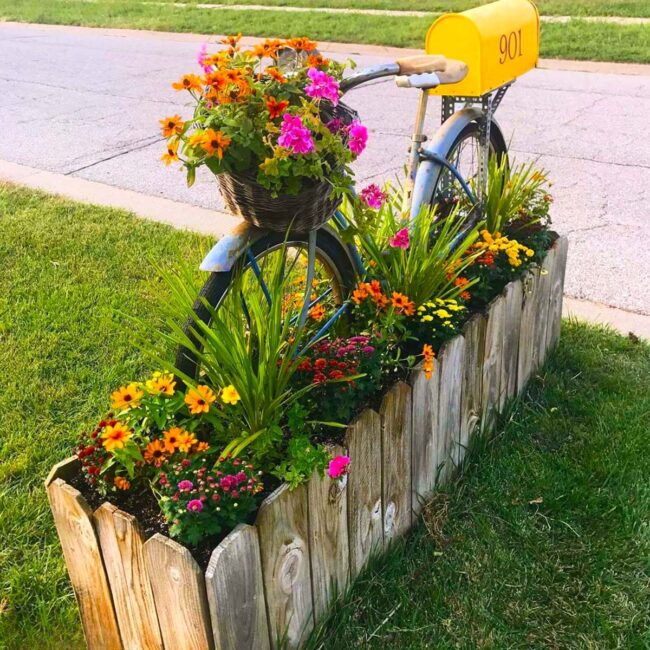 Vintage Bike Blooms with Colorful Life