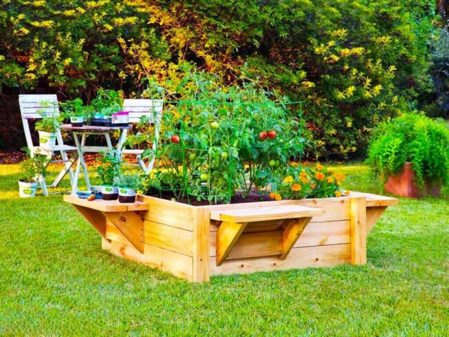 Wooden Raised Beds Gardening Paradise