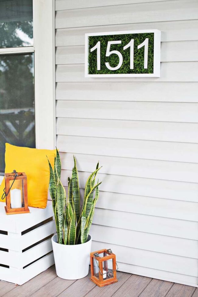 Sleek Nickel Numbers Grass White