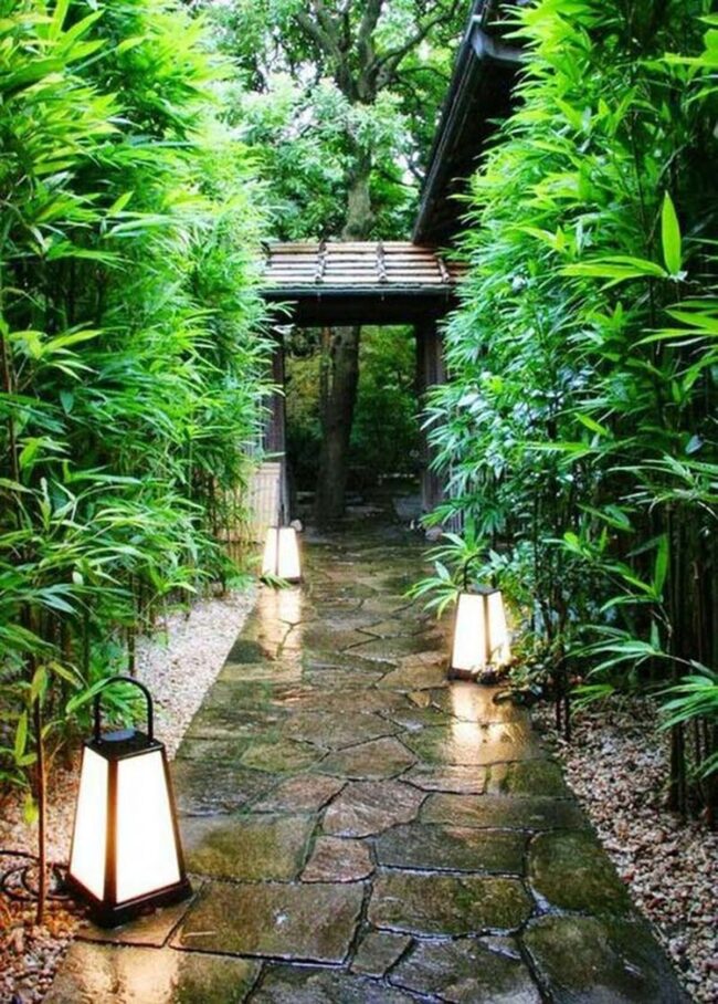 Emerald Forest Path Sanctuary