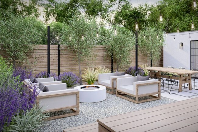 White Gravel Oasis Under Starlight