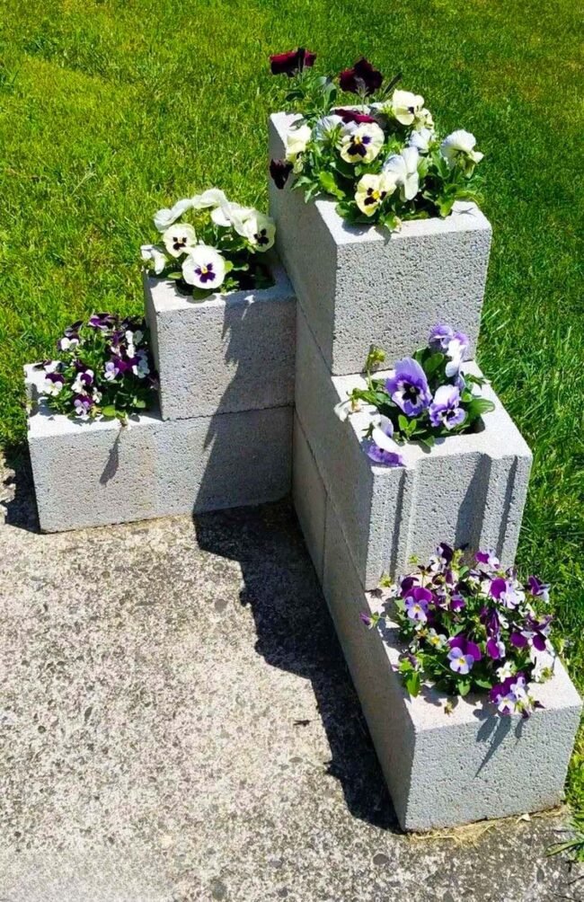 Purple Pansies Dancing Through Concrete Geometry