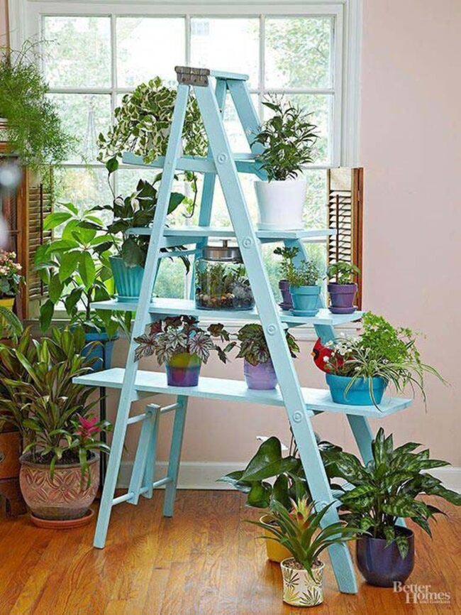 Powder Blue Ladder Garden Sanctuary