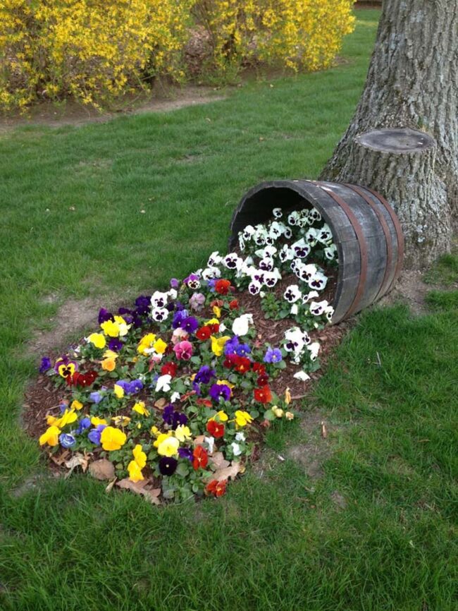 Weathered Barrel Blooming Beauty Garden