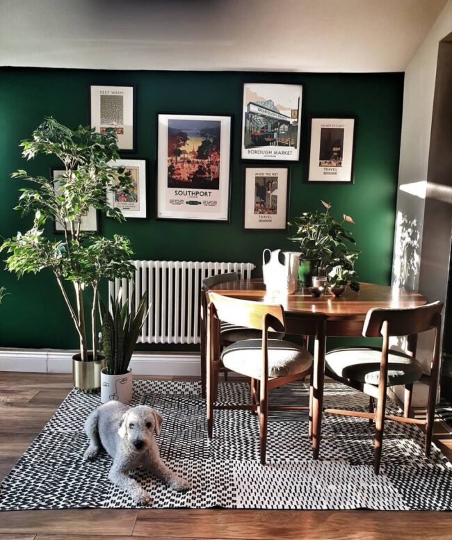 Green Canvas of Curated Stories