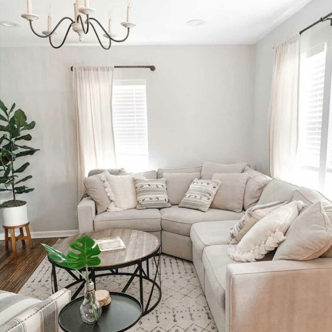 Soft Neutrals Soothe Contemporary Living