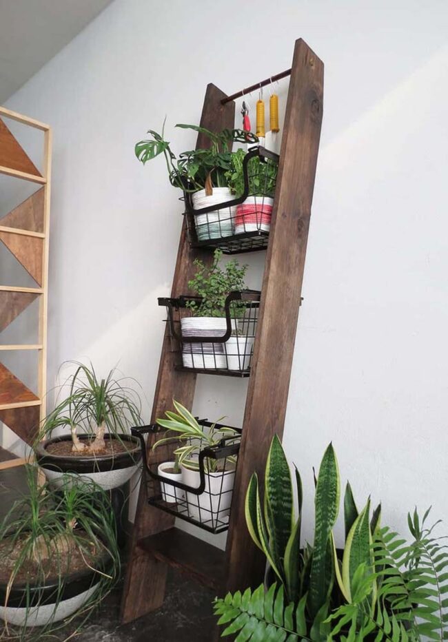 Ladder Plant Stand with Flair