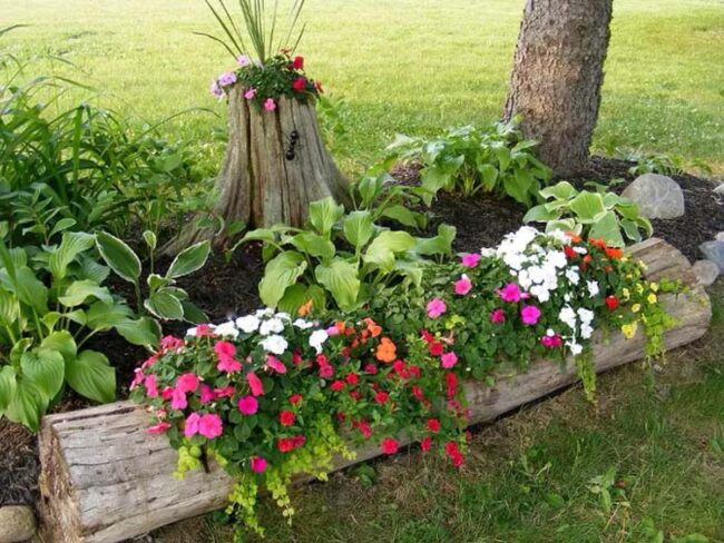Wooden Stump Blooming Floral Sanctuary