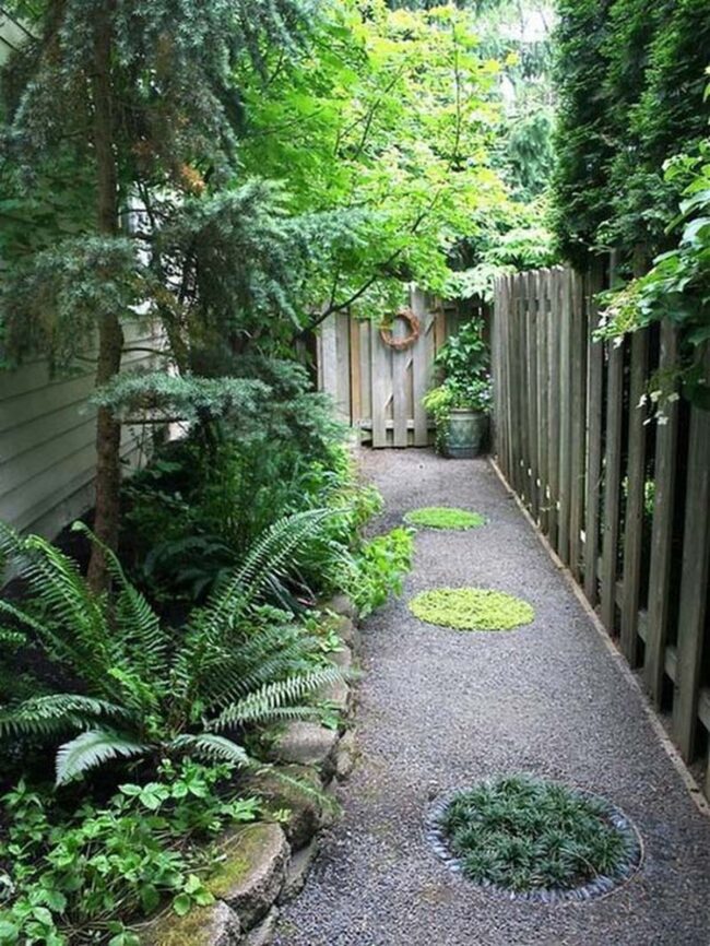 Green Wilderness Side Yard Sanctuary