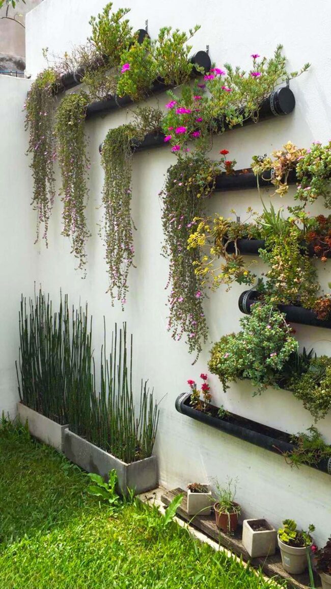 Verdant White Walls Pipe Gardens