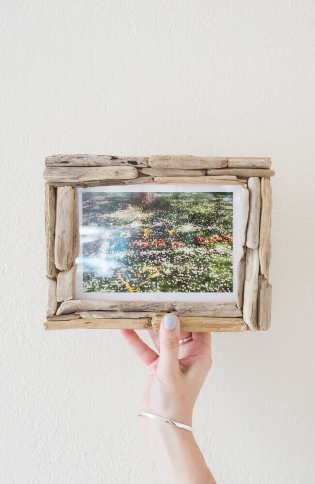 Coral Reef's Vintage Wooden Embrace