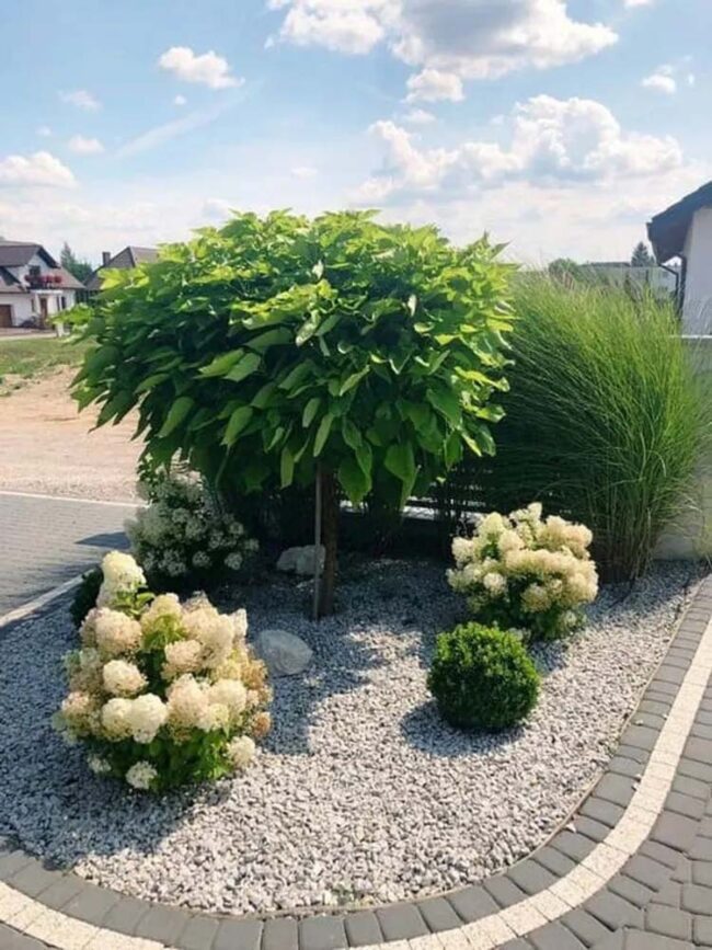 Green Sanctuary in Glass Haven