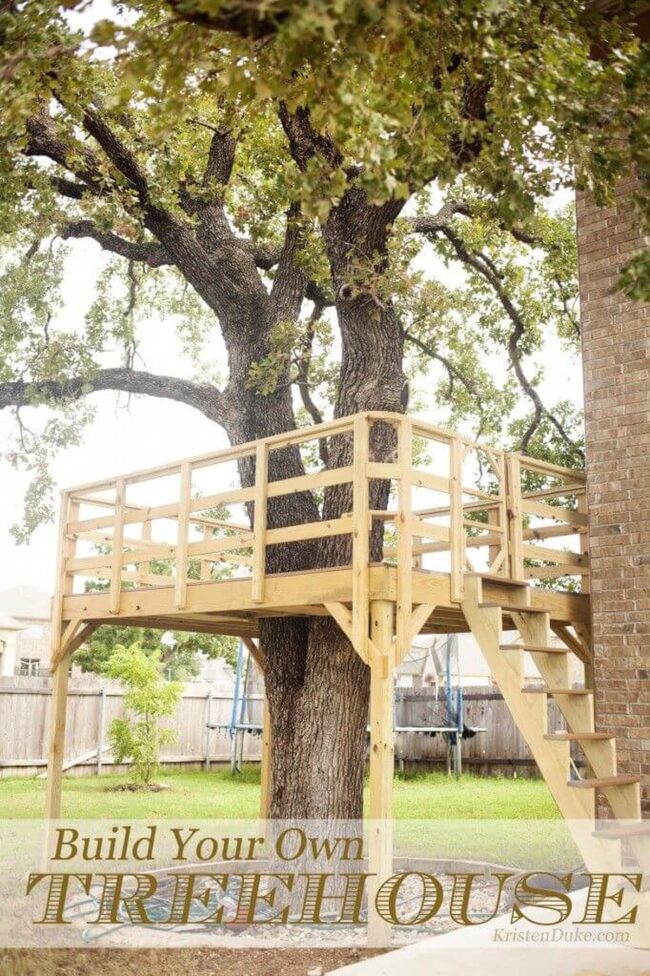 Accessible Low-Height Kid Adventure Treehouse