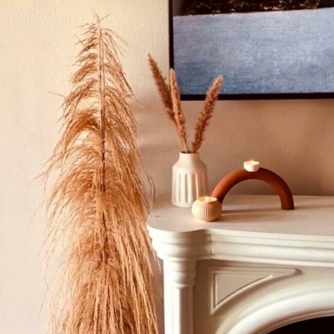 Golden Wheat Whispers Against Neutral Walls