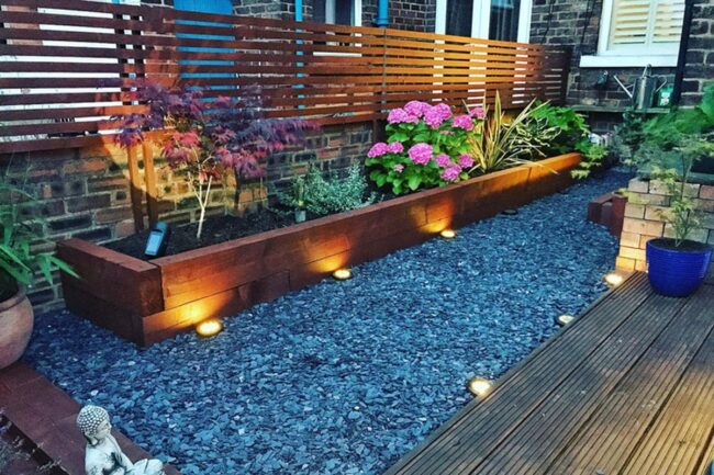 Green Sanctuary Above Concrete Chaos