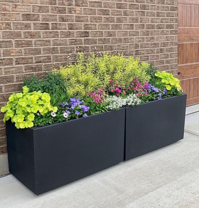 Green Geometry Troughs Bloom Boldly