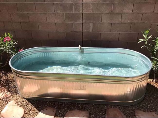 Blue Haven Mini Pool Paradise