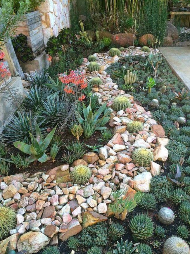 Golden Stones Drift Through Succulent Gardens