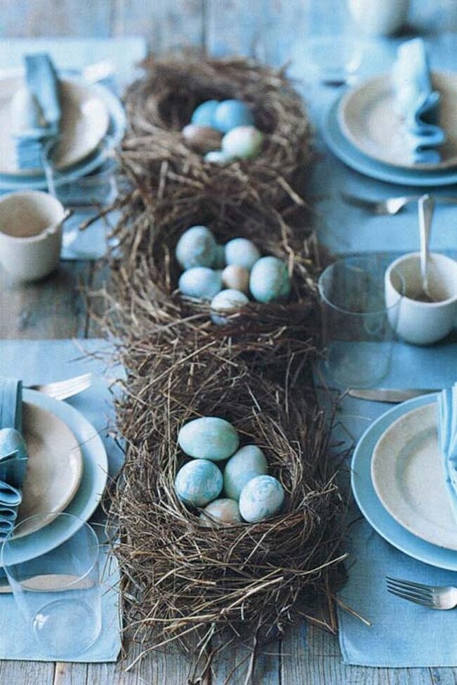 Robin Egg Blue Nature's Nest Symphony