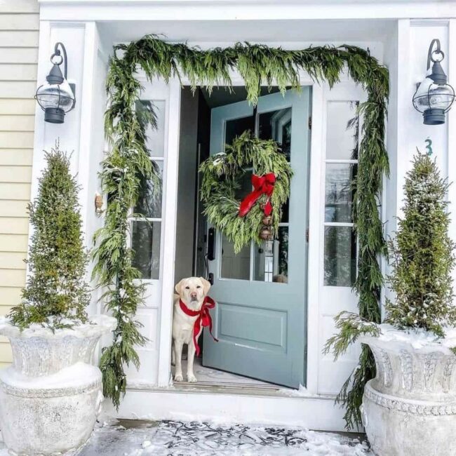 Red Ribbon Pup Greets Winter Welcome