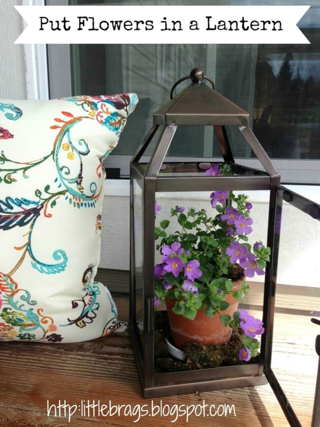 Purple Terra Cotta Lamp Haven