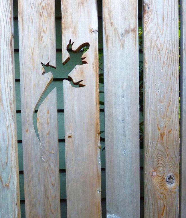 Nature's Whimsical Wood Fence Dance
