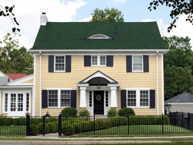 Green Roof Revolution Modern Architecture Triumph