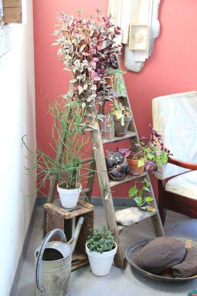 Green Ladder Garden Vertical Charm