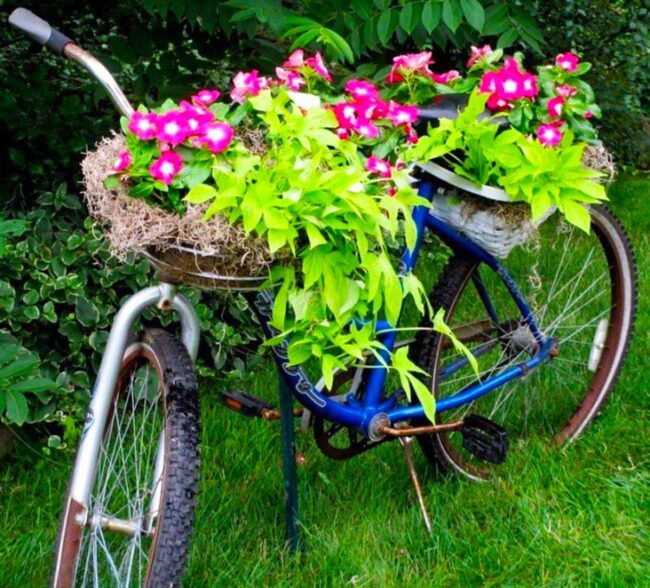 Vintage Bike Blooms Green Garden Magic
