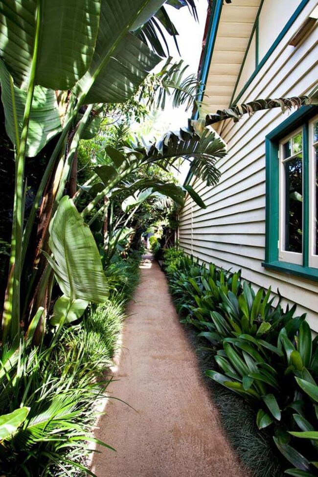 Tropical Palm Paradise Gravel Path