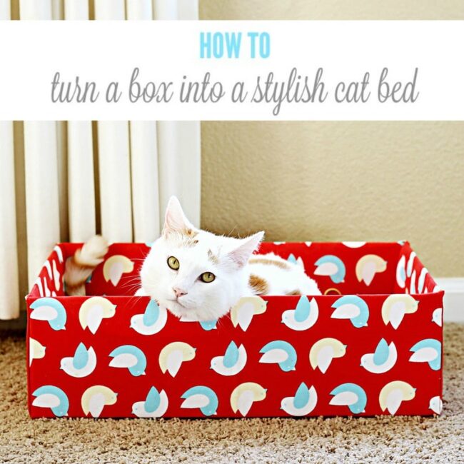 Cardboard Cat Haven: Soft Fabric Bed
