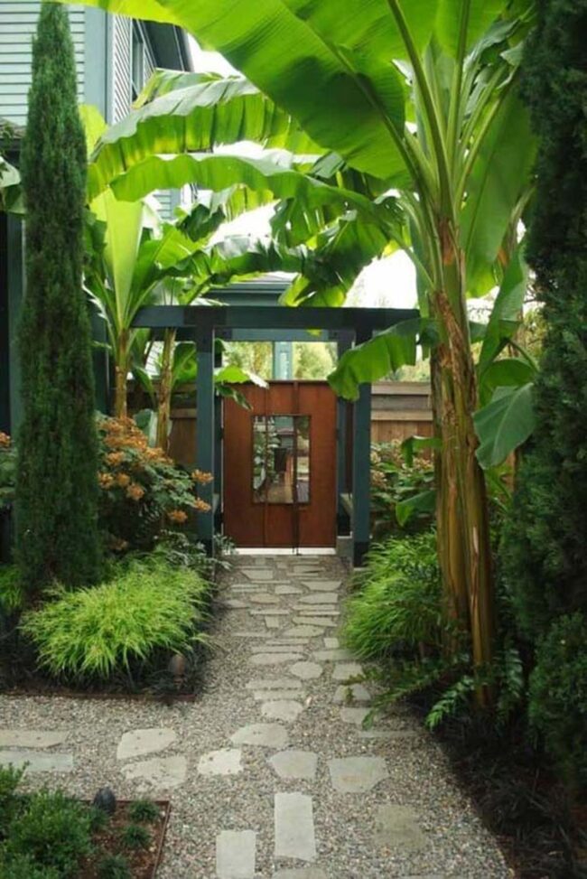 Emerald Palm Canopy Passage