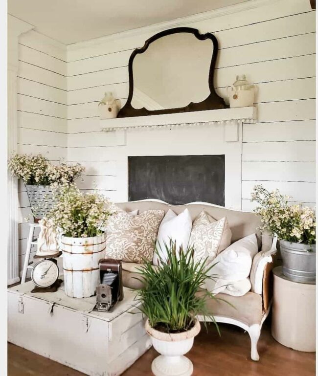 Silvered Reflection Anchors Minimalist Haven