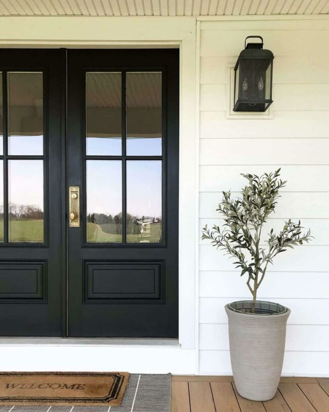 Monochrome Entrance Meets Organic Accent