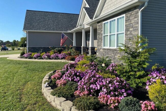 Green Lines Embrace Natural Architecture