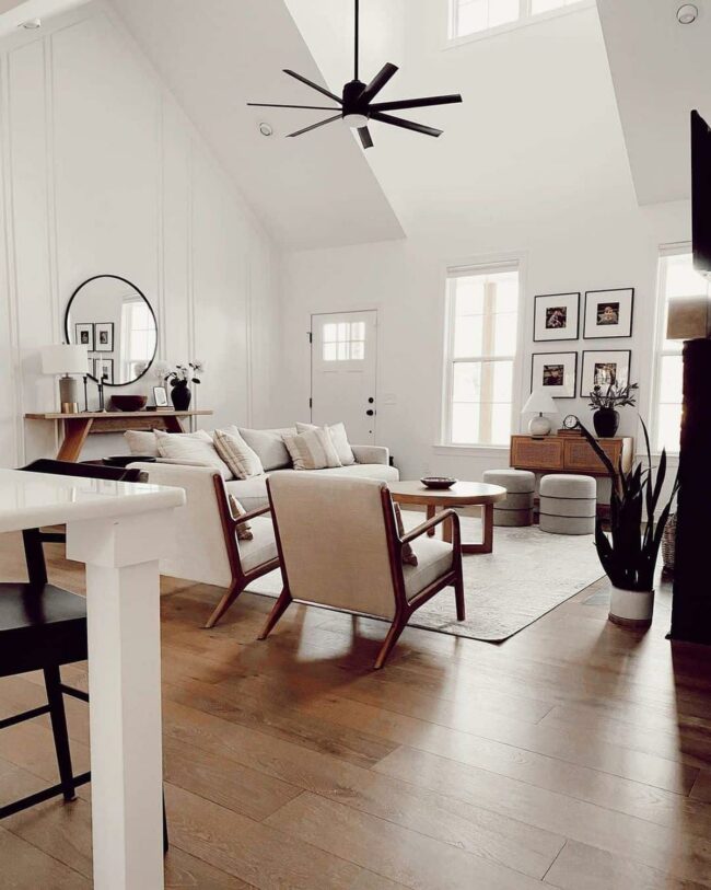 Sunlit Black Fan Contemporary Haven