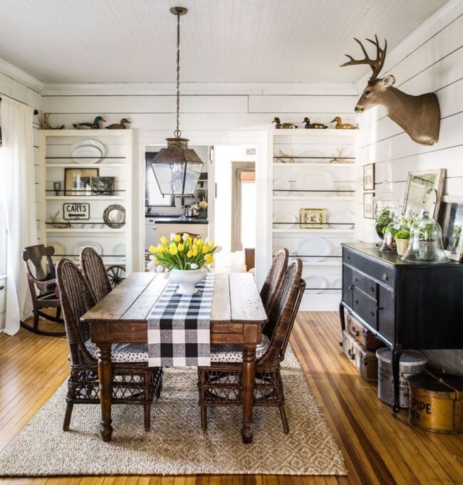 Mounted Stag Presides Over Wilderness