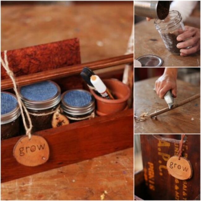 Green Growth Starter Kit Love