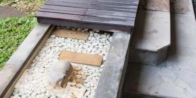 Zen Water Flow Through Stone Pathways