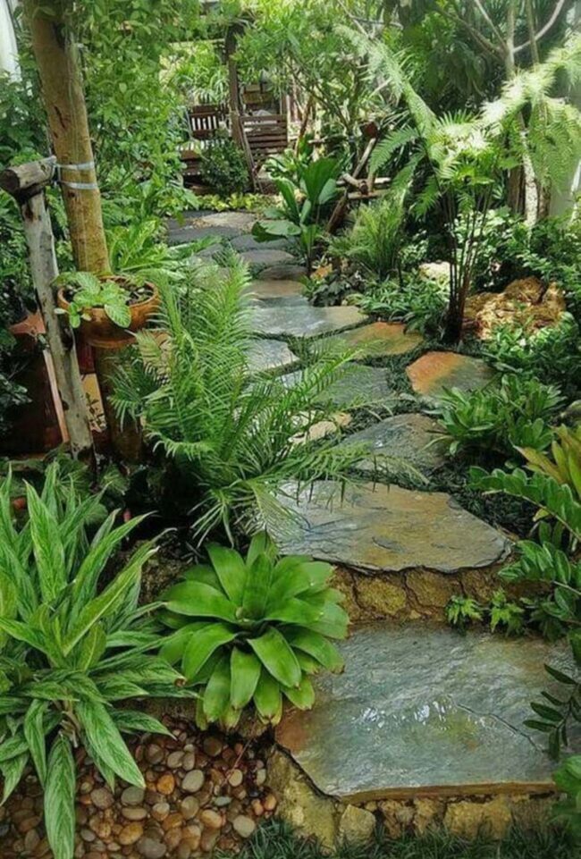 Green Tropical Sanctuary Path