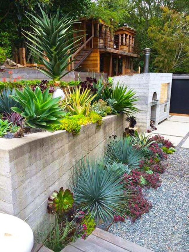Concrete Green Sanctuary Urban Oasis