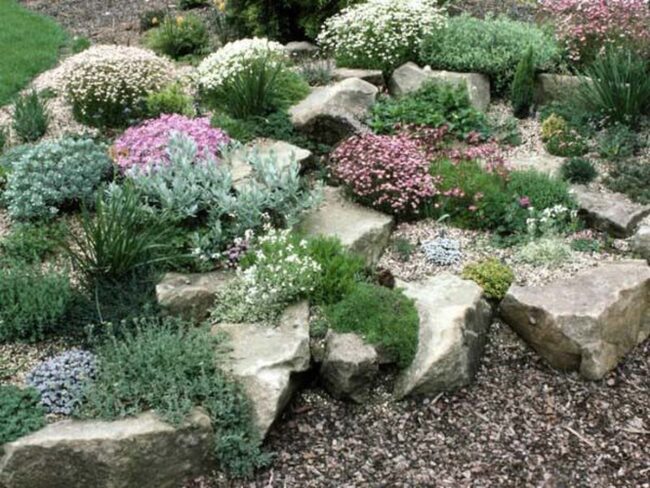 Stony Mountain Green Alpine Symphony