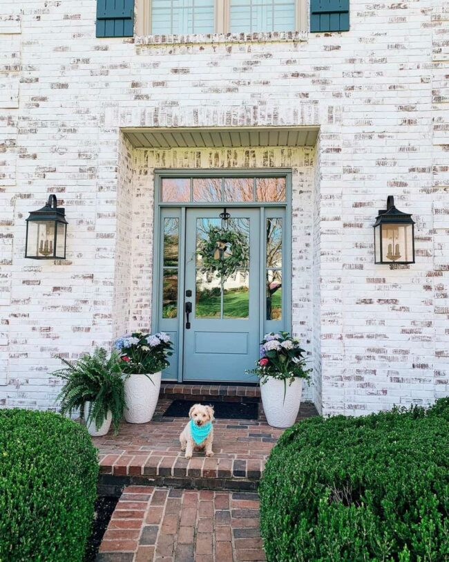 Blue Door Puppy Garden Welcome