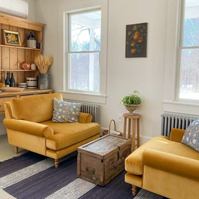 Mustard Velvet Chairs Mid-Century Magic